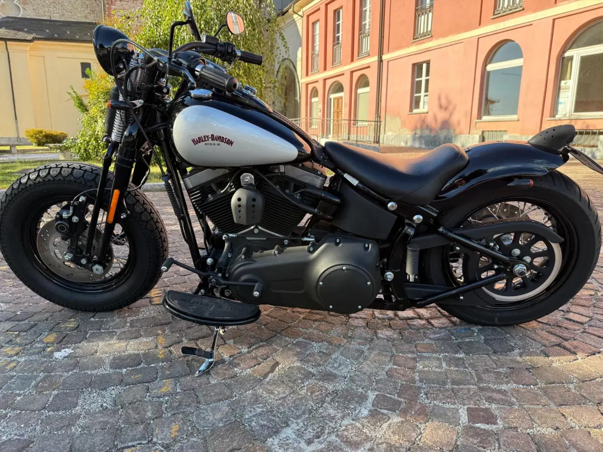 Harley-Davidson 1584 Cross Bones (2008 - 11) - FLSTSB (5)