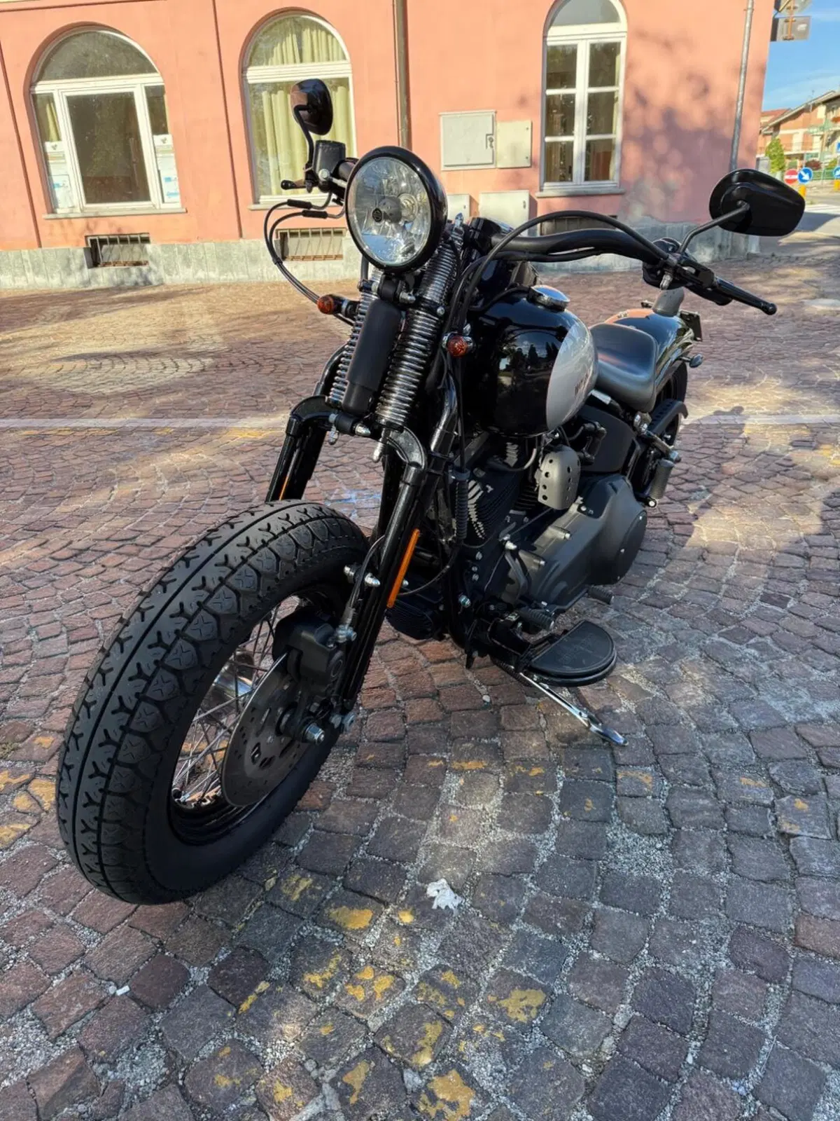 Harley-Davidson 1584 Cross Bones (2008 - 11) - FLSTSB (6)