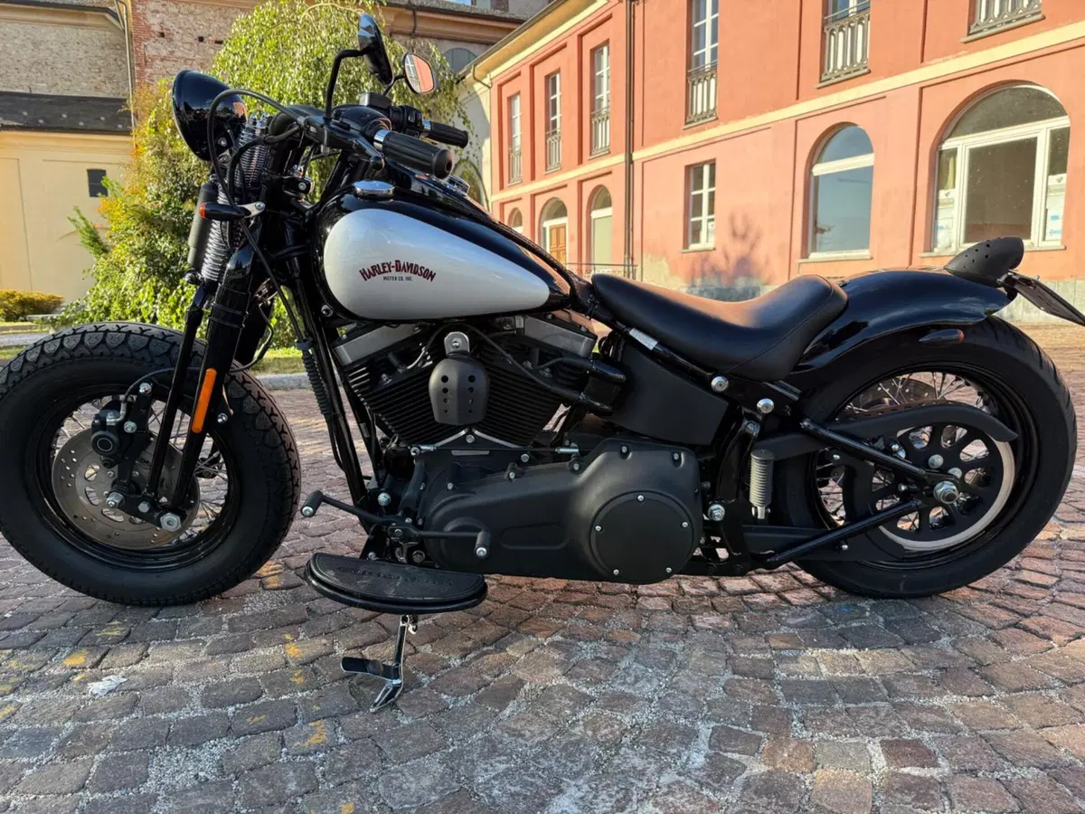 Harley-Davidson 1584 Cross Bones (2008 - 11) - FLSTSB (7)