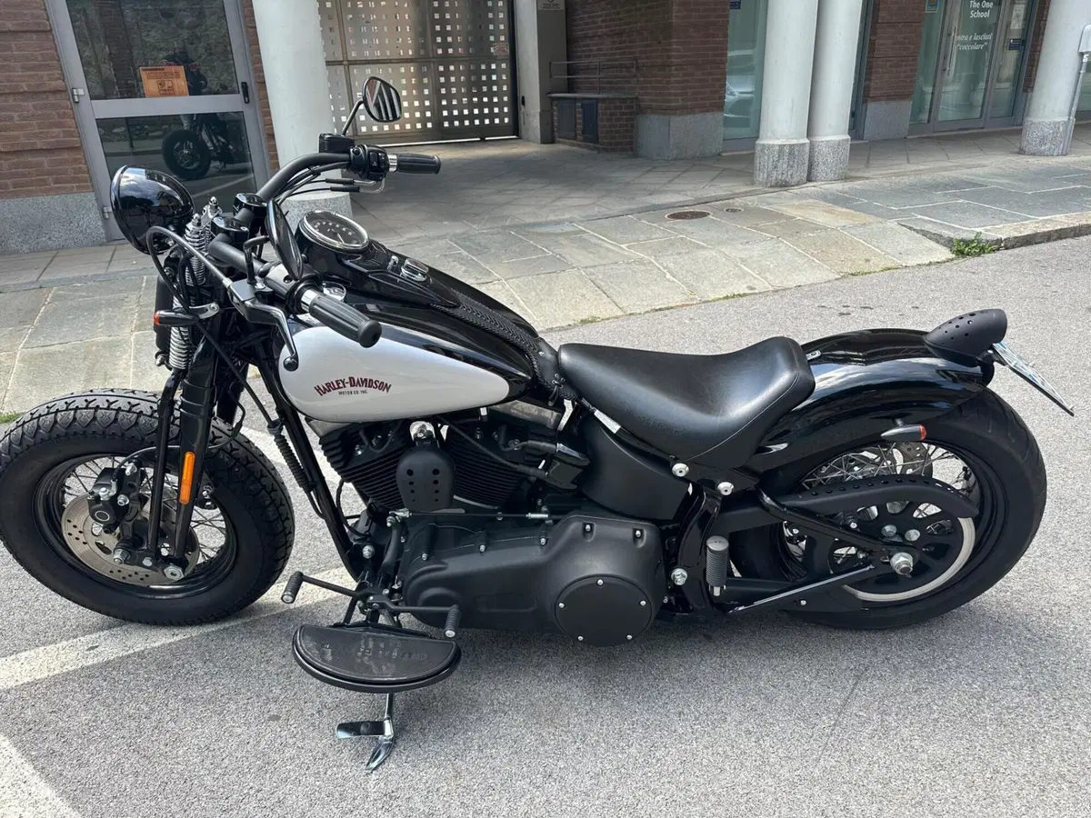 Harley-Davidson 1584 Cross Bones (2008 - 11) - FLSTSB (8)