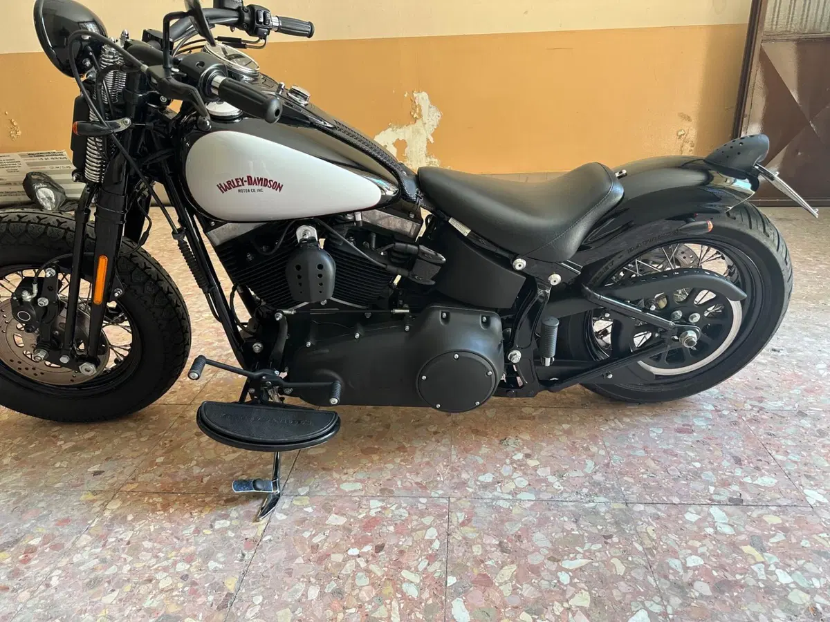 Harley-Davidson 1584 Cross Bones (2008 - 11) - FLSTSB (9)