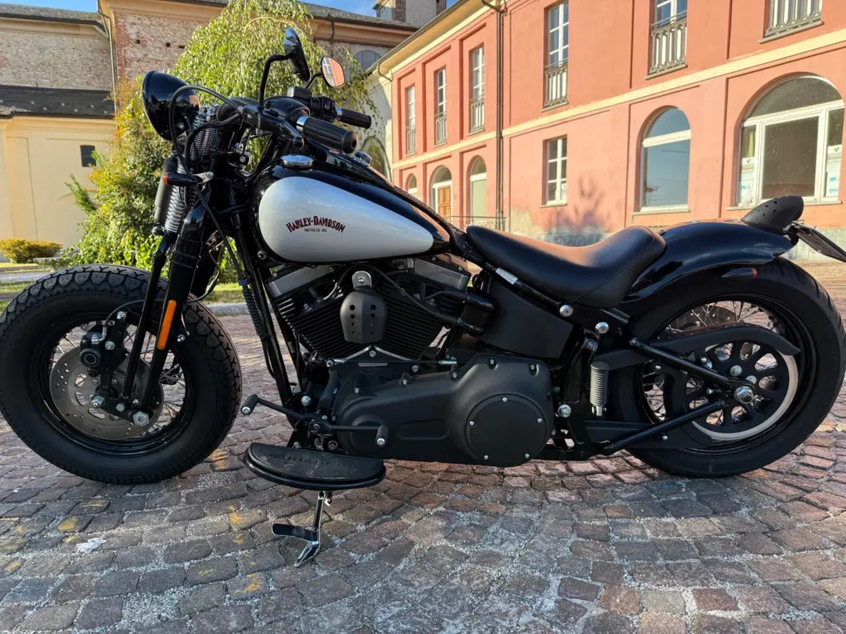 Harley-Davidson 1584 Cross Bones (2008 - 11) - FLSTSB (11)