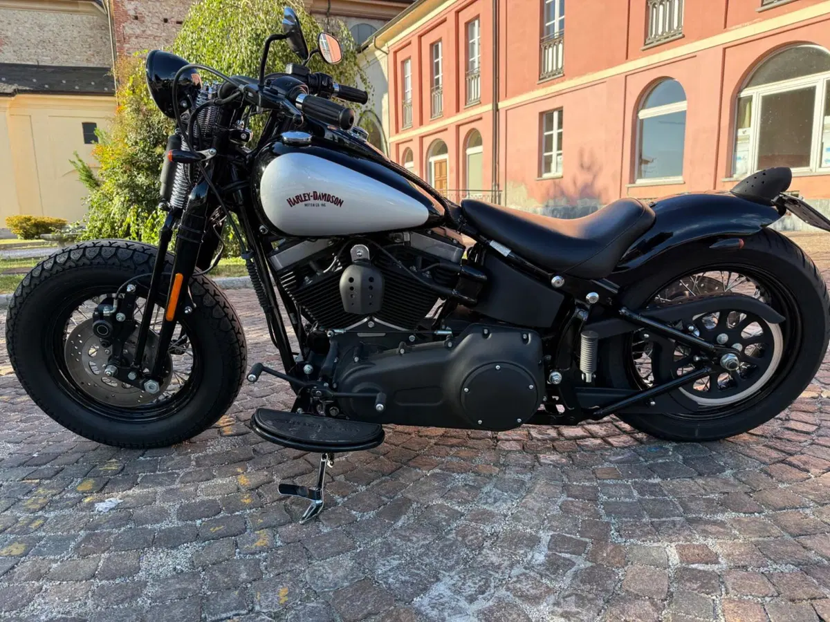 Harley-Davidson 1584 Cross Bones (2008 - 11) - FLSTSB (12)