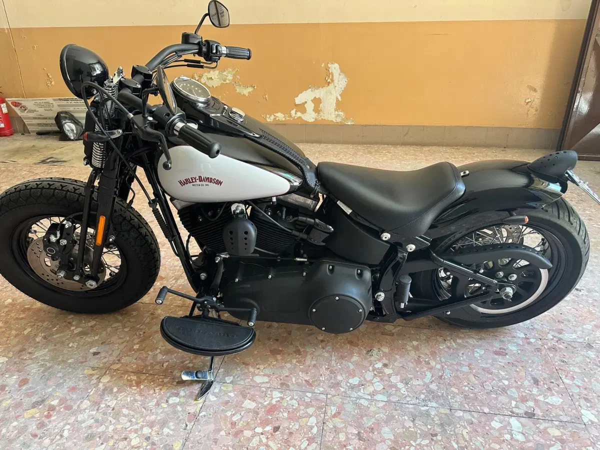 Harley-Davidson 1584 Cross Bones (2008 - 11) - FLSTSB (13)