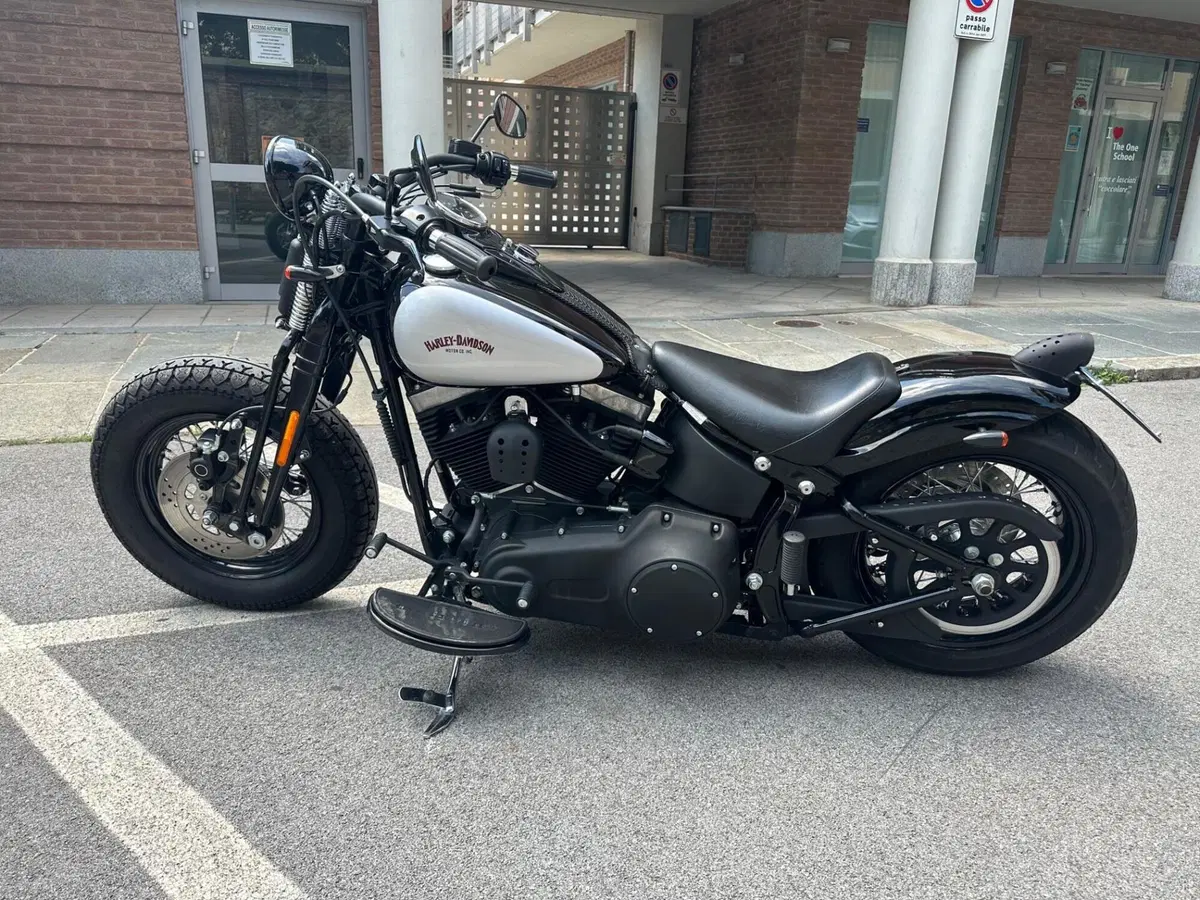 Harley-Davidson 1584 Cross Bones (2008 - 11) - FLSTSB (14)
