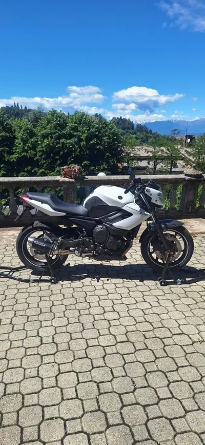 Yamaha XJ6 ABS (2008 - 15) usata