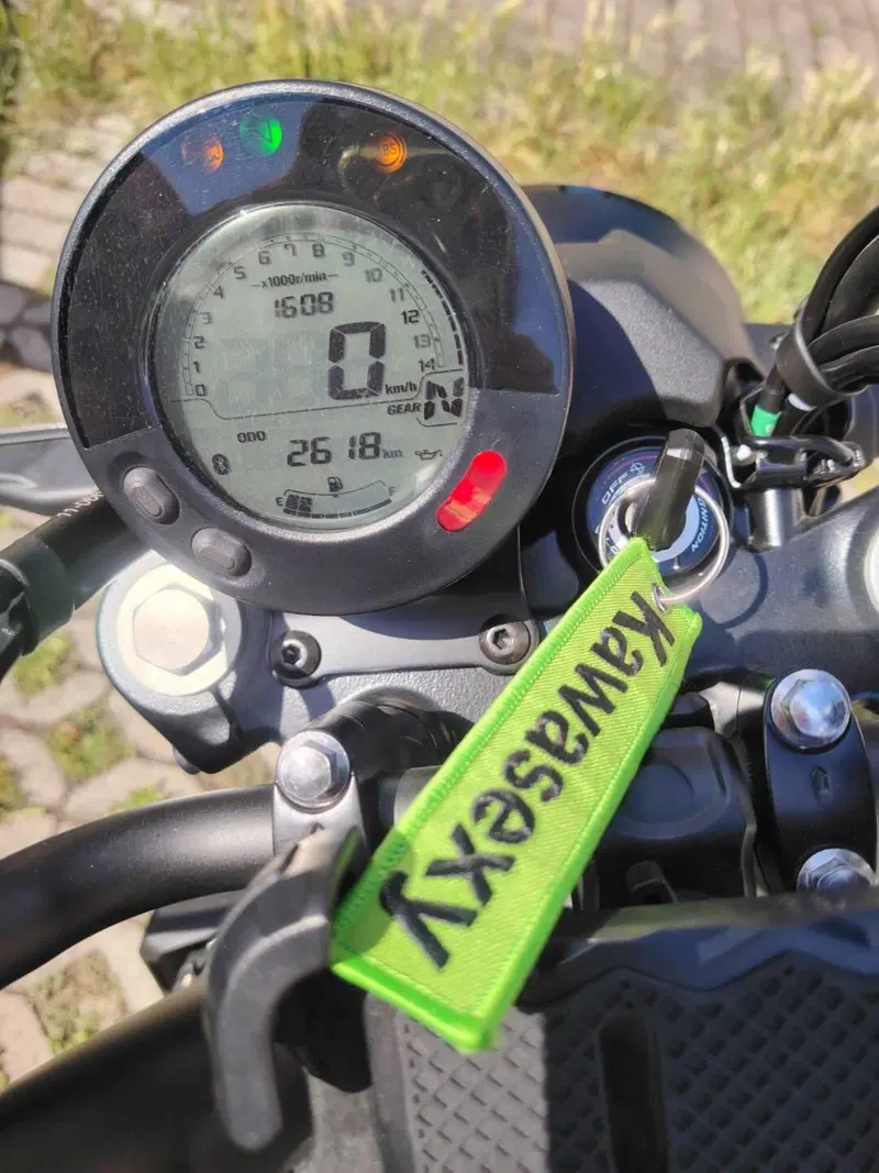 Kawasaki Eliminator 500 (2024 - 26) (6)