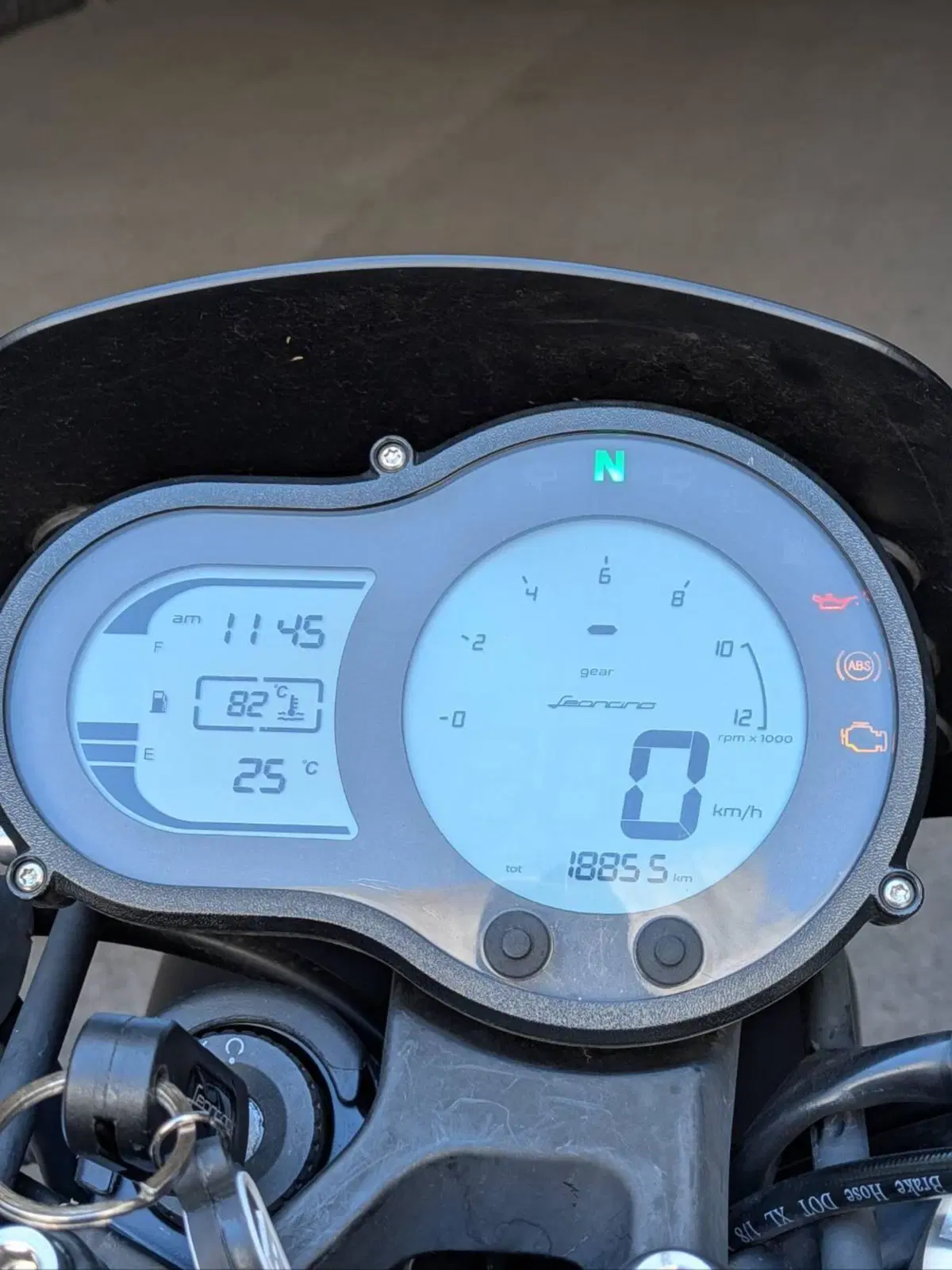 Benelli Leoncino 500 Trail (2021 - 26) (5)