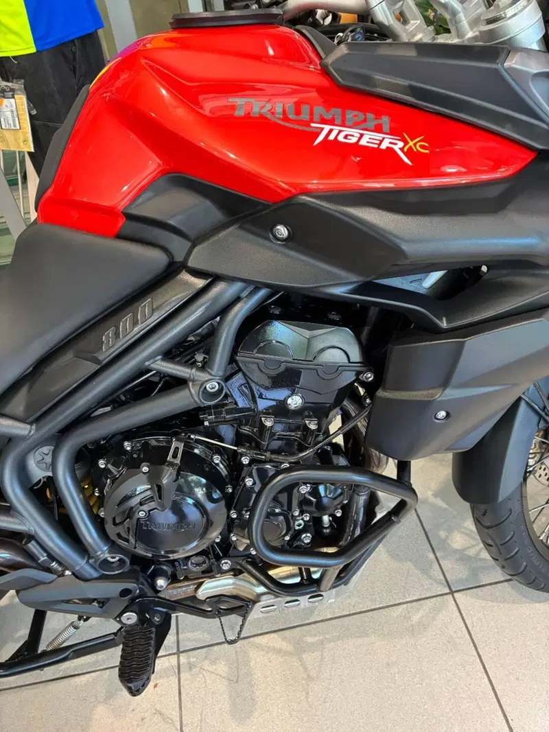 Triumph Tiger 800 XC (2011 - 12) (6)