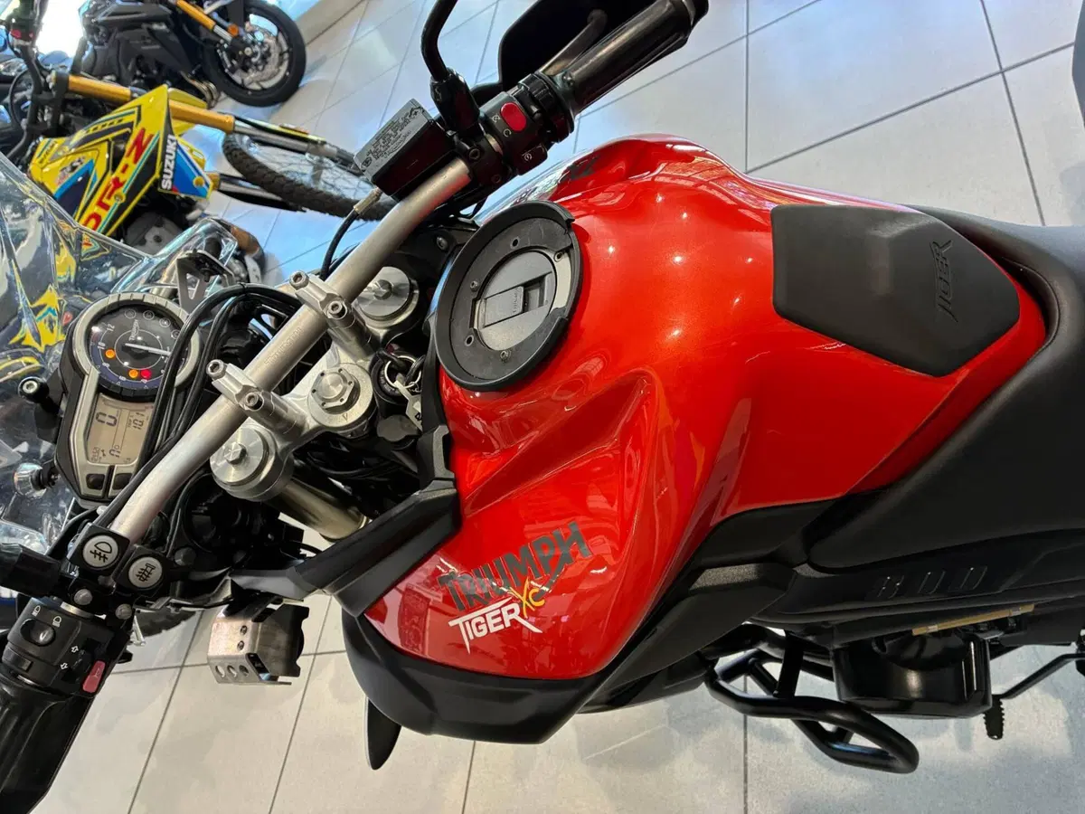 Triumph Tiger 800 XC (2011 - 12) (13)