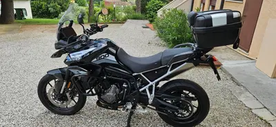 Triumph Tiger 900 GT (2020 - 23) usata