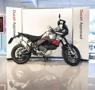 Ducati DesertX (2022 - 25) usata