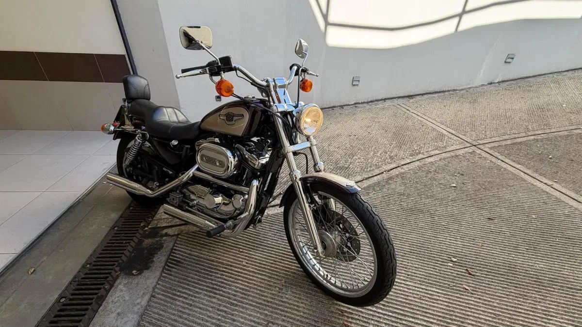 Harley-Davidson 1200 Custom (1995 - 00) - XL 1200C (2)