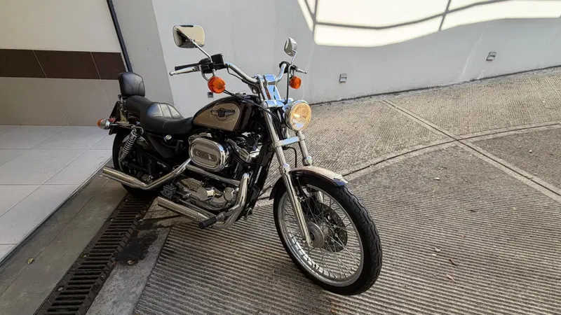 Harley-Davidson 1200 Custom (1995 - 00) - XL 1200C (2)