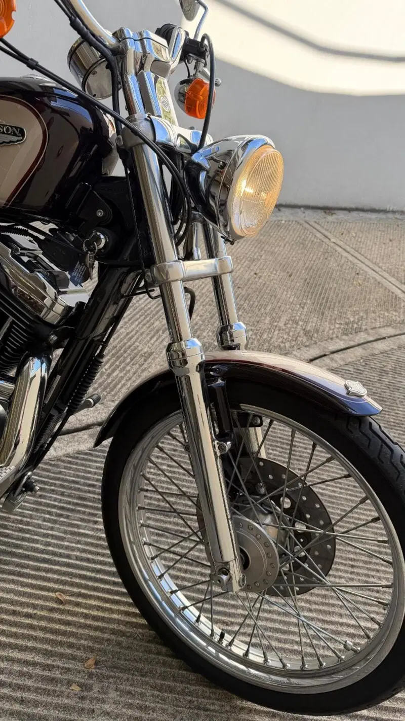 Harley-Davidson 1200 Custom (1995 - 00) - XL 1200C (12)