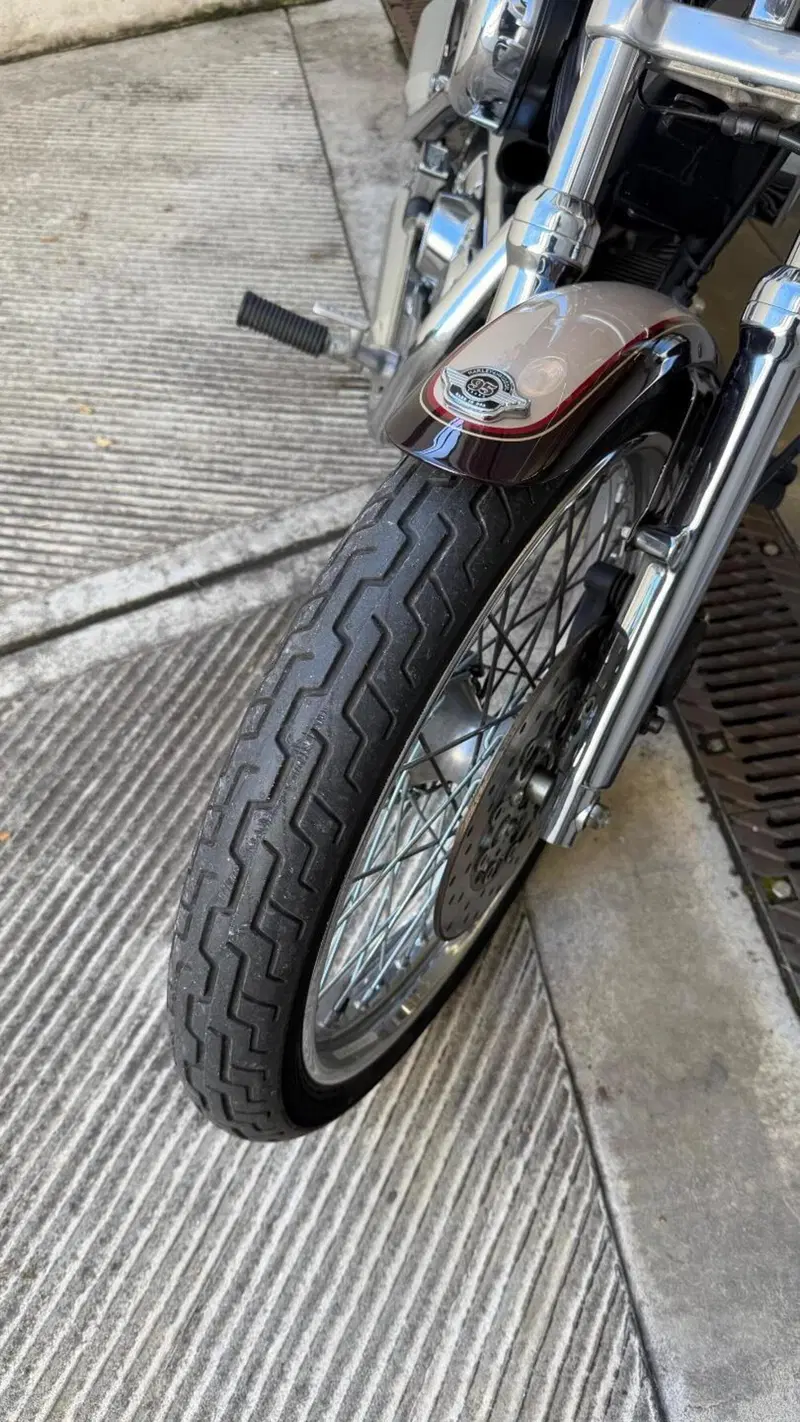 Harley-Davidson 1200 Custom (1995 - 00) - XL 1200C (13)