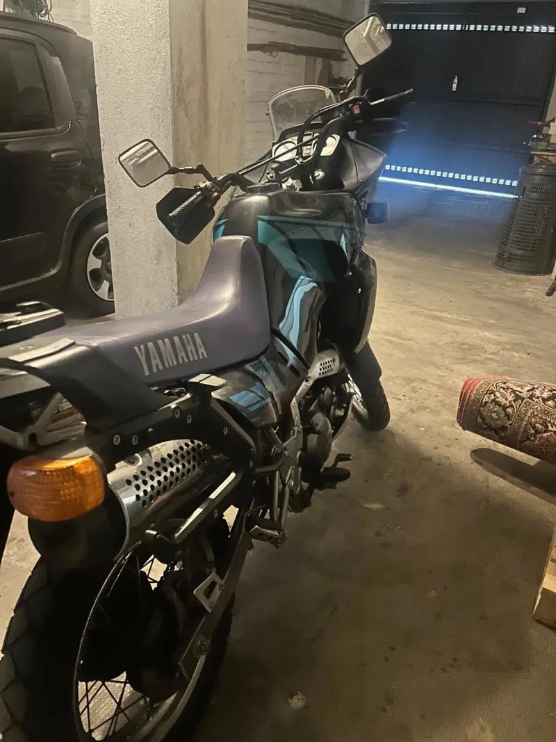Yamaha Tenerè 660xtz (5)