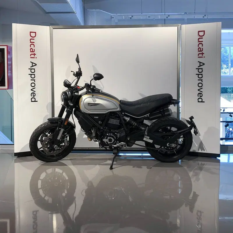 Ducati Scrambler 1100 Pro (2020 - 22) (4)