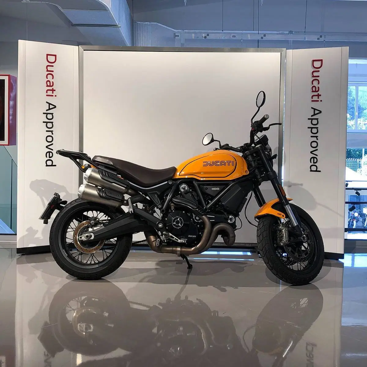 Ducati Scrambler 1100 Tribute Pro (2022 - 24)