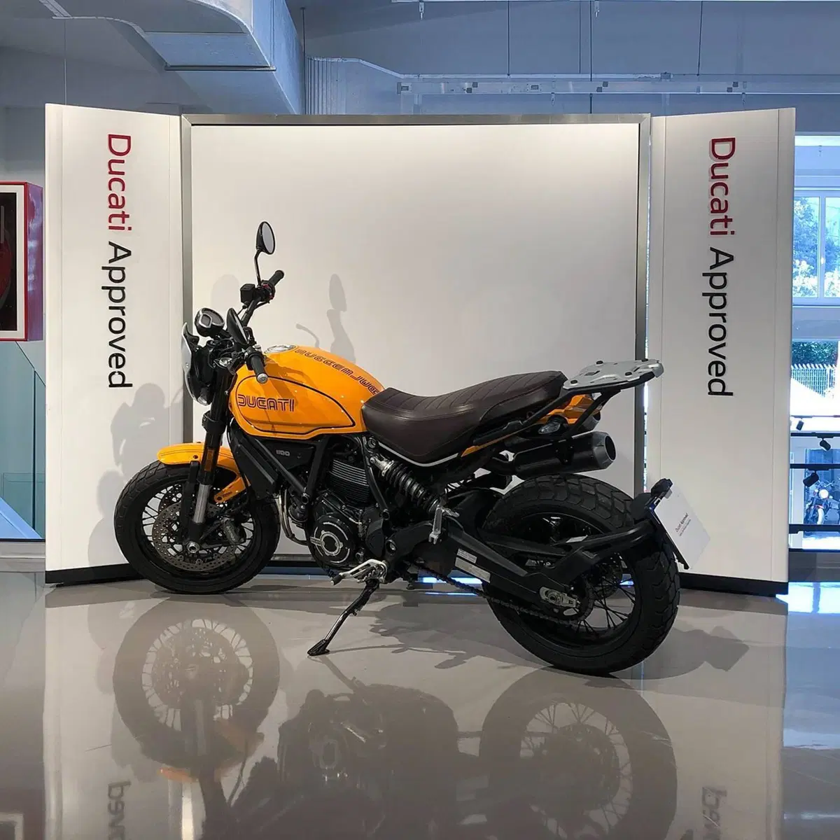 Ducati Scrambler 1100 Tribute Pro (2022 - 24) (5)