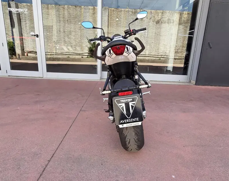 Triumph Trident 660 Triple Tribute Edition (2024) (8)