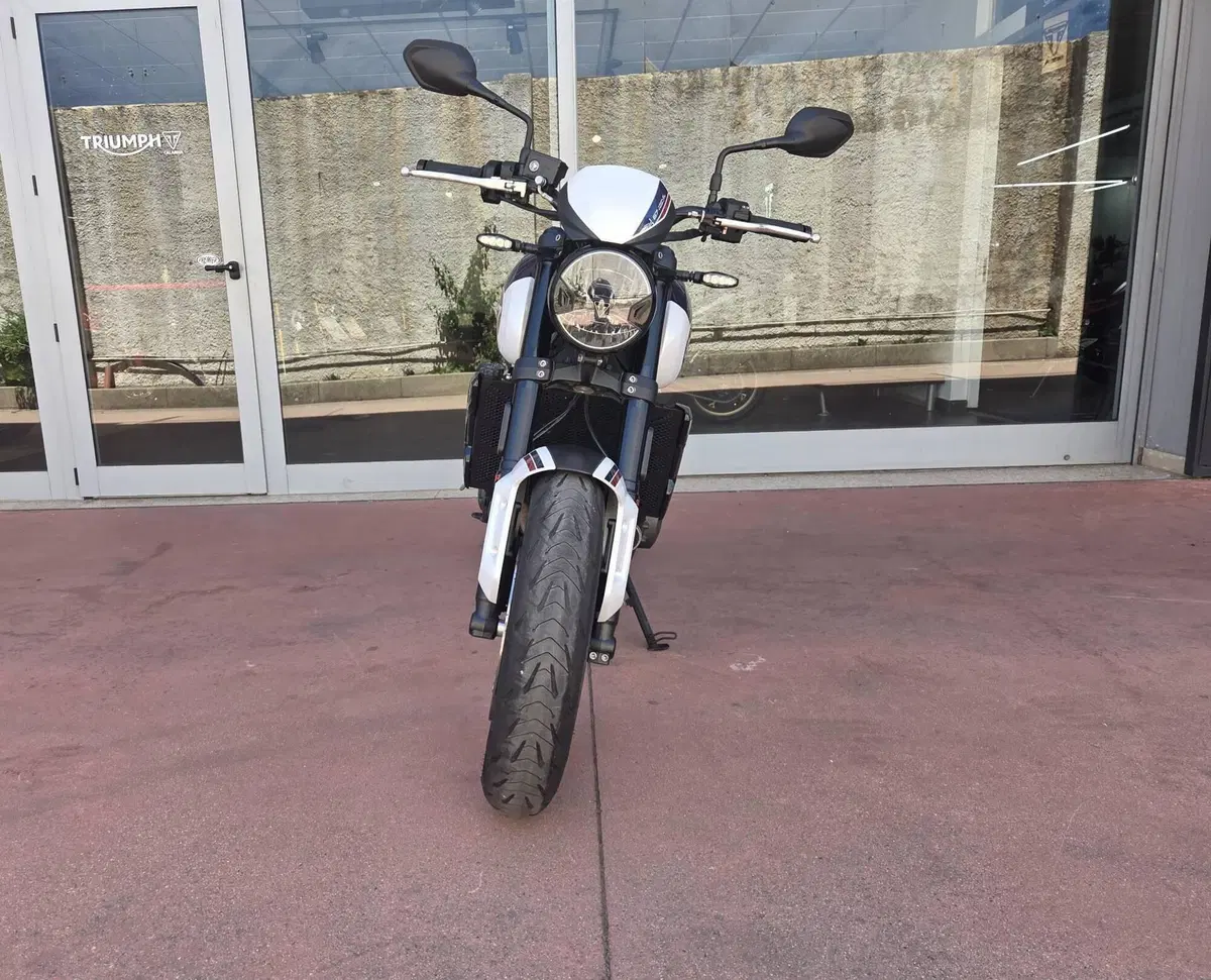 Triumph Trident 660 Triple Tribute Edition (2024) (10)