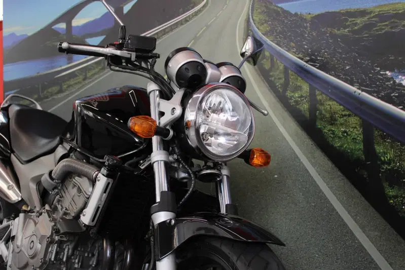 Honda Hornet 600 (2003 - 04) (12)