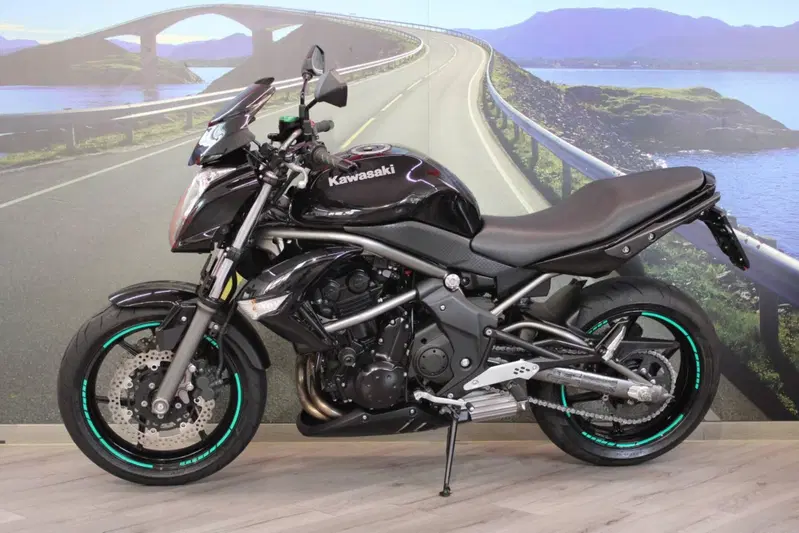 Kawasaki ER-6N (2009 - 11) (7)