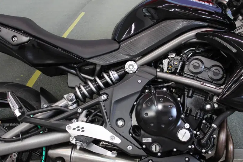 Kawasaki ER-6N (2009 - 11) (14)