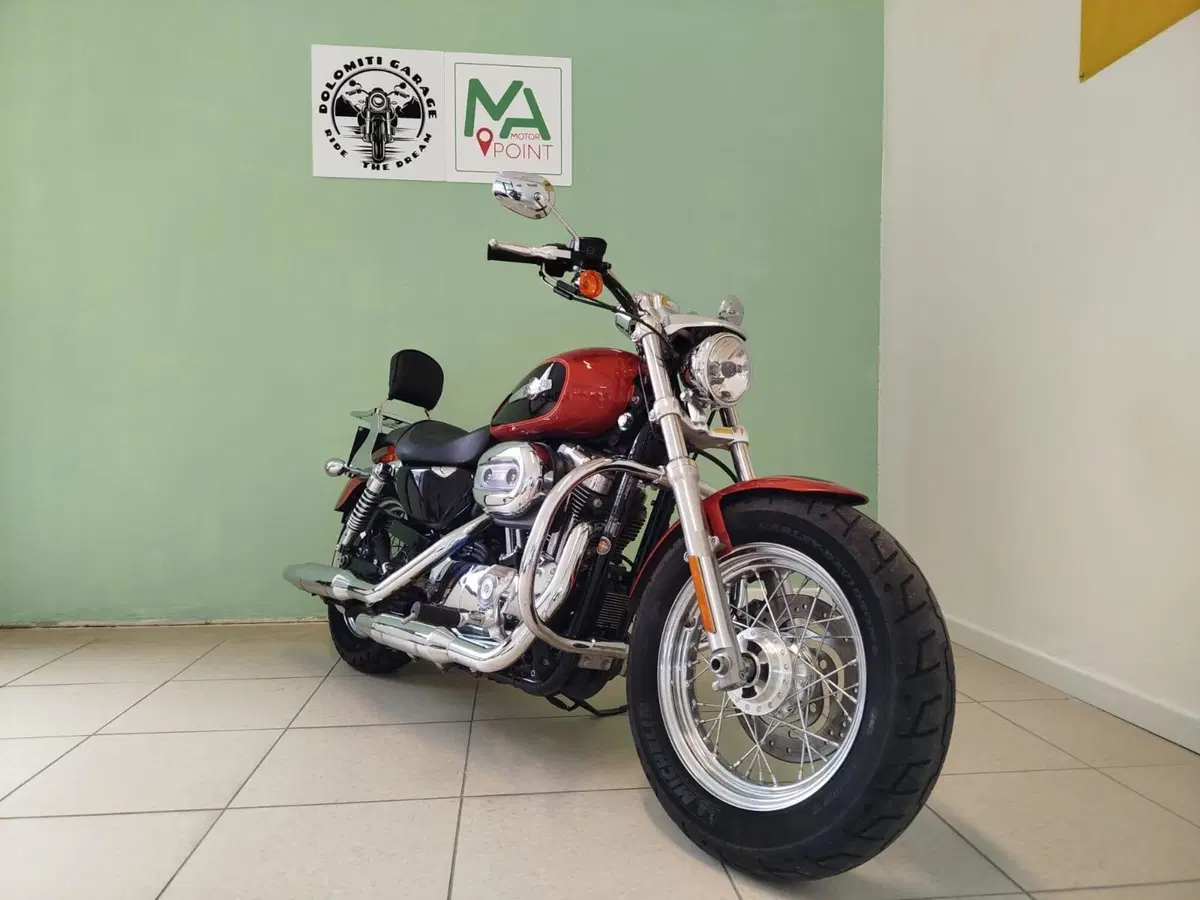 Harley-Davidson 1200 Custom (2007 - 13) - XL 1200C (3)