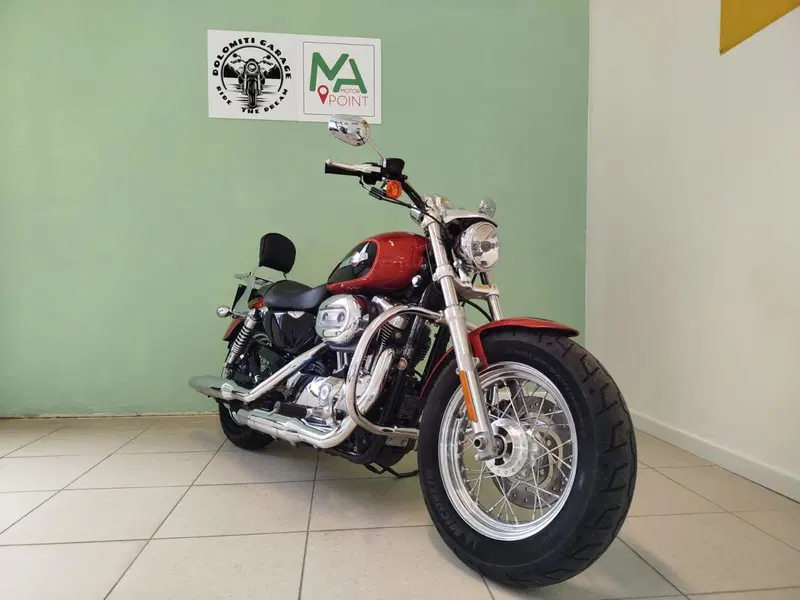 Harley-Davidson 1200 Custom (2007 - 13) - XL 1200C (3)