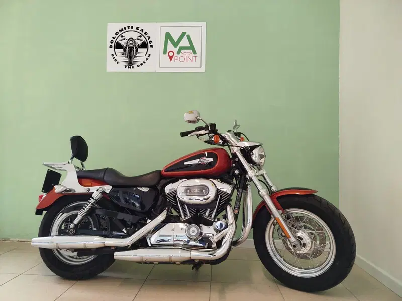 Harley-Davidson 1200 Custom (2007 - 13) - XL 1200C (4)