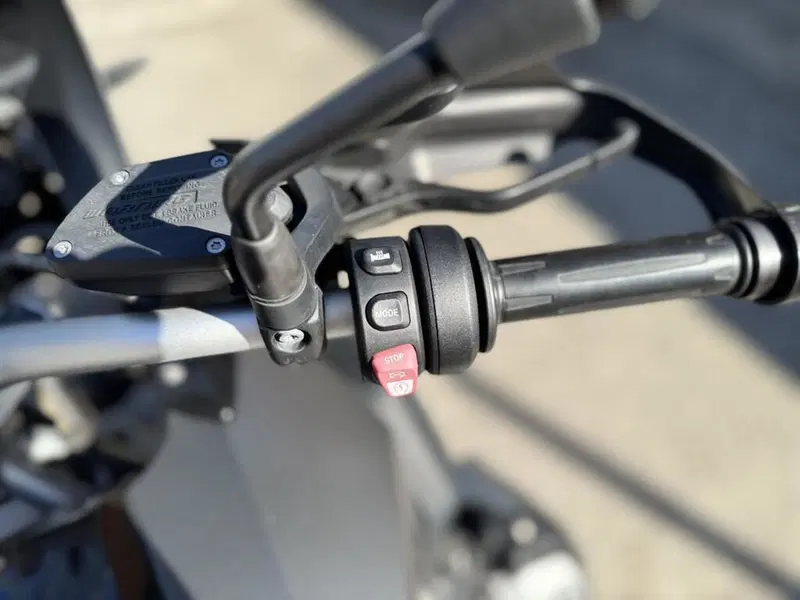 Bmw R 1250 GS (2019 - 20) (7)