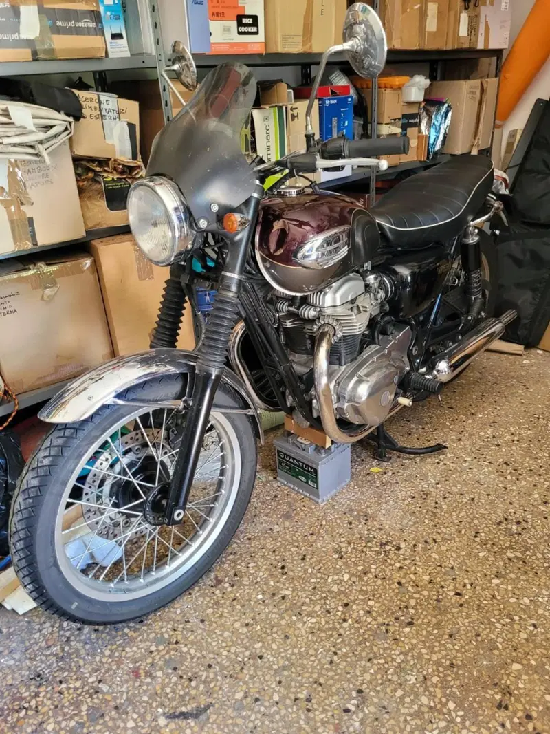 Kawasaki W 650 (2001 - 06) (2)