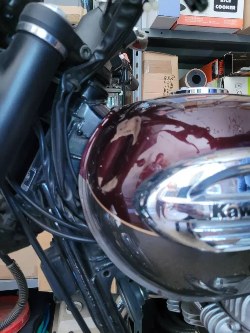 Kawasaki W 650 (2001 - 06) (5)