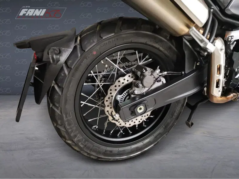 Voge Trofeo 525ACX Scrambler (2023 - 26) (6)