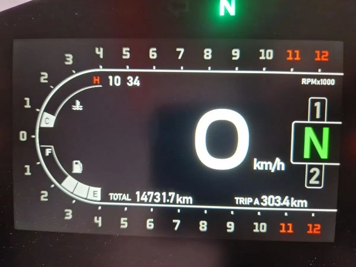Benelli Leoncino 800 (2022 - 26) (5)