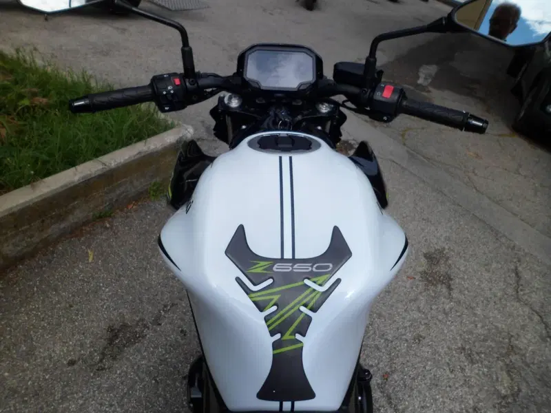 Kawasaki Z 650 (2021 - 24) (7)