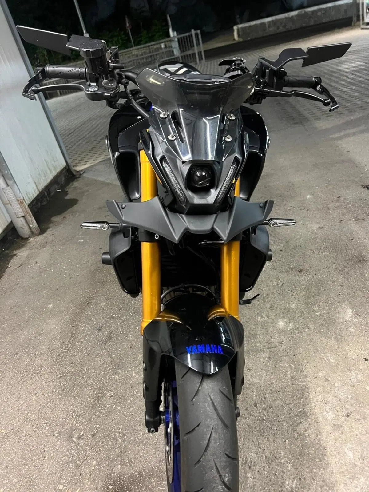 Yamaha MT-09 SP (2021 - 23) (3)