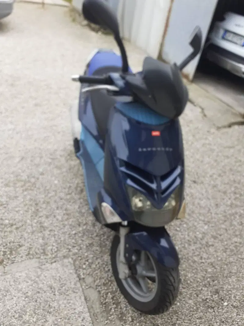 Aprilia Leonardo 250 (1999 -02) (3)