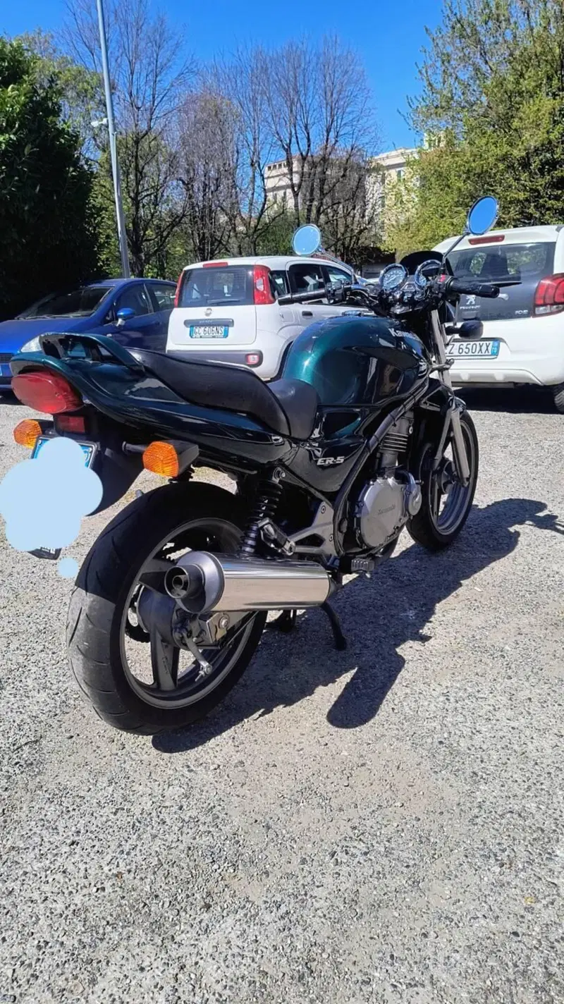 Kawasaki ER-5 500 (1996 - 00) (2)