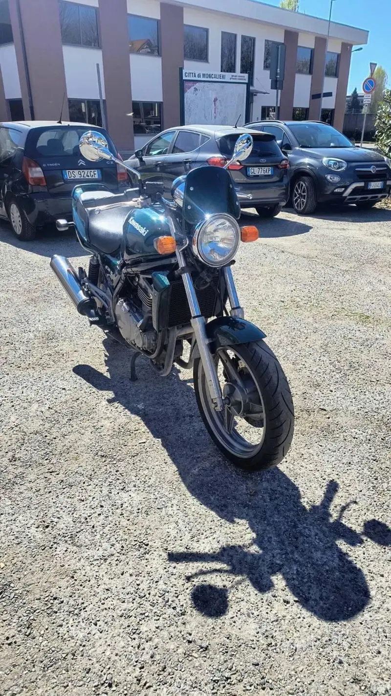 Kawasaki ER-5 500 (1996 - 00) (5)