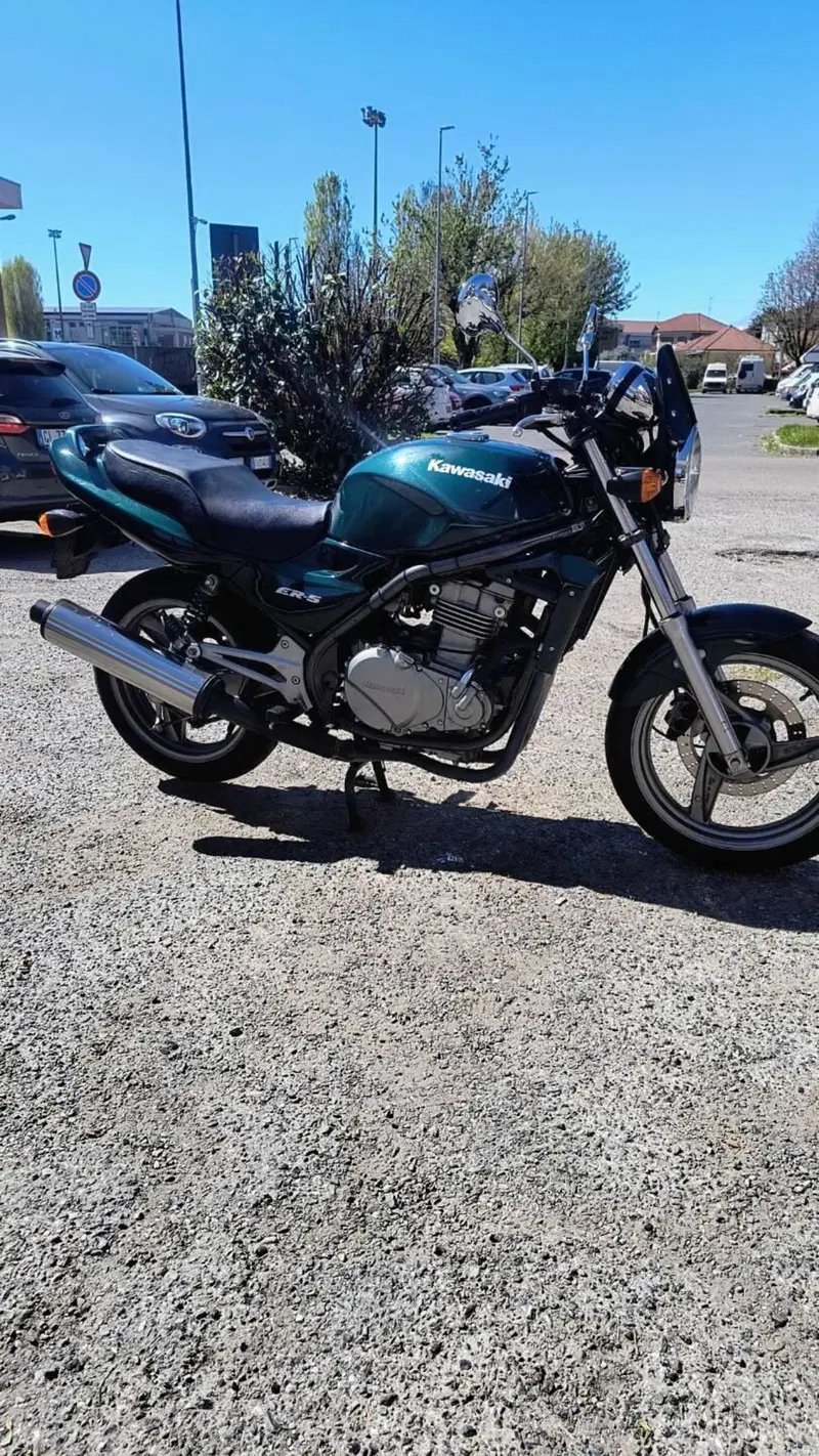 Kawasaki ER-5 500 (1996 - 00) (6)