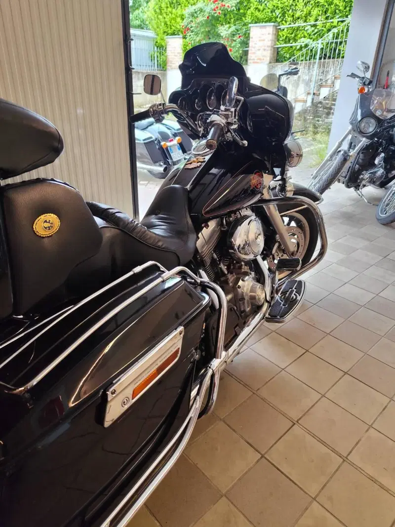Harley-Davidson 1450 Electra Glide Standard (2001 - 03) - FLHT (4)
