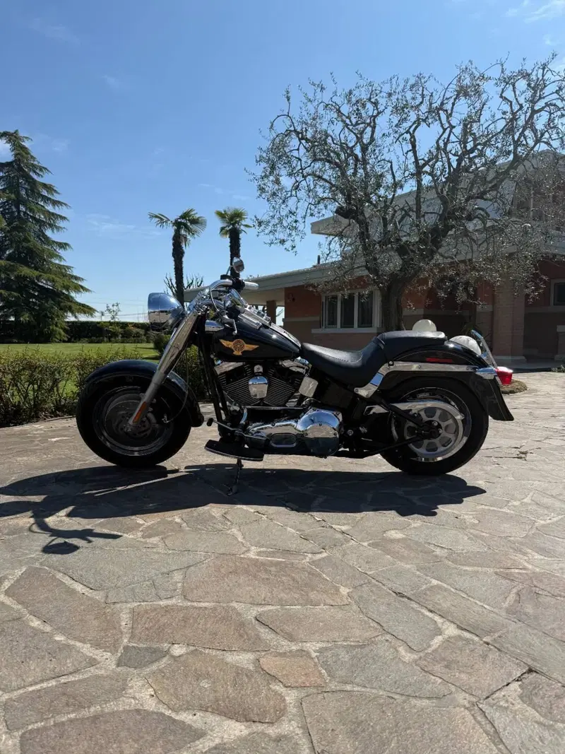 Harley-Davidson 1550 Fat Boy 15th Anniversary (2005) - FLSTFIAE (2)