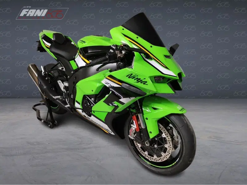 Kawasaki Ninja 1000 ZX-10R (2021 - 25) (2)