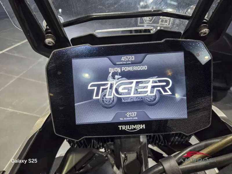 Triumph Tiger 900 Rally Pro (2020 - 23) (2)