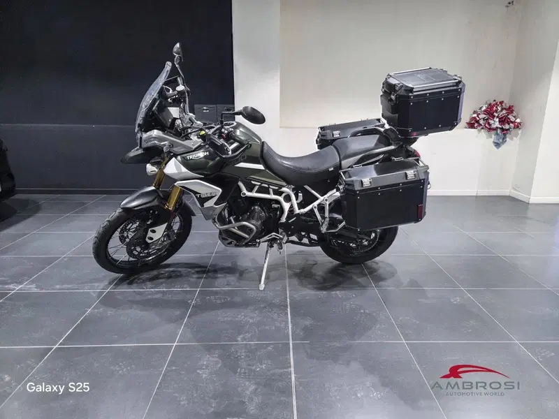 Triumph Tiger 900 Rally Pro (2020 - 23) (6)