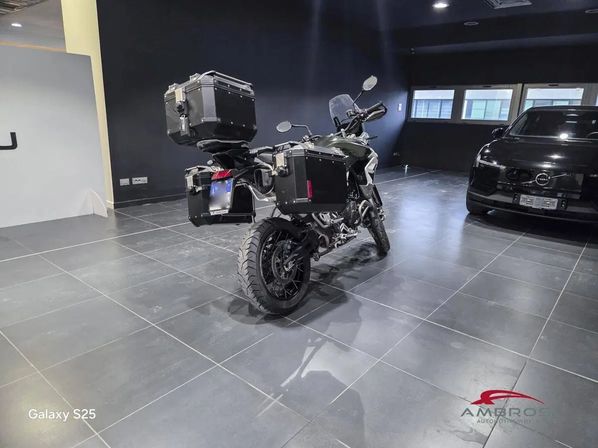 Triumph Tiger 900 Rally Pro (2020 - 23) (9)