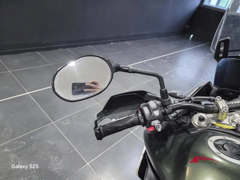 Triumph Tiger 900 Rally Pro (2020 - 23) (11)